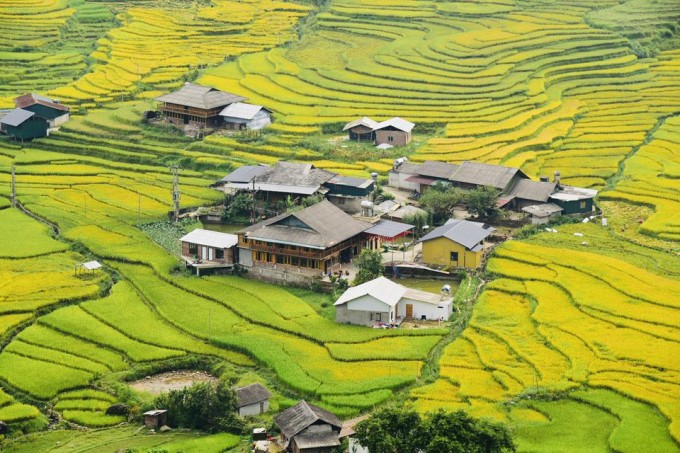 Khu vực bản Tả Van, Sa Pa đầu tháng 9. Ảnh: Lam Linh