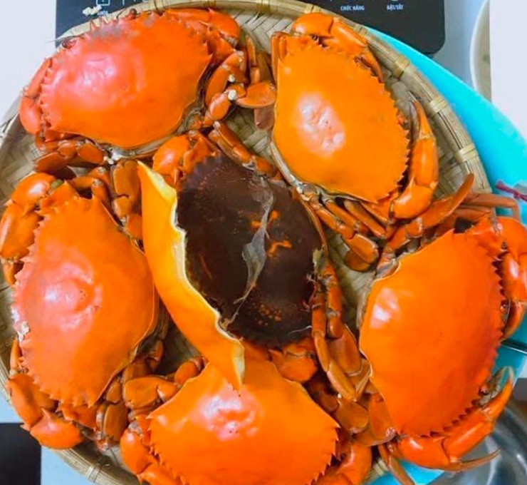 Để bắt được cua 2 da, người dân vùng biển như ở Cà Mau phải đào hang hoặc đặt bẫy rất vất vả. Sản lượng khai thác không nhiều nên loại cua này càng trở nên quý giá.