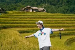 Du lịch - 'Săn' mùa vàng Tuyên Quang, chọn tour hay tự túc để trải nghiệm trọn vẹn?