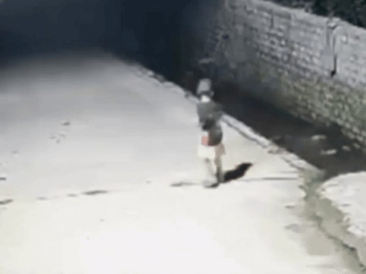 VIDEO: Bé trai 4 tuổi nhanh trí hô hoán người lớn cứu em 2 tuổi rơi xuống mương nước