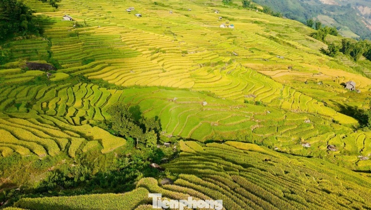 Du khách đổ về Y Tý, đắm chìm với ruộng bậc thang đẹp nhất Tây Bắc - 2