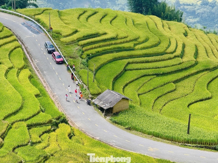 Du khách đổ về Y Tý, đắm chìm với ruộng bậc thang đẹp nhất Tây Bắc - 3