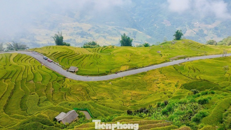Du khách đổ về Y Tý, đắm chìm với ruộng bậc thang đẹp nhất Tây Bắc - 1