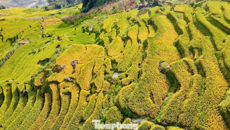 Du khách đổ về Y Tý, đắm chìm với ruộng bậc thang đẹp nhất Tây Bắc - 4
