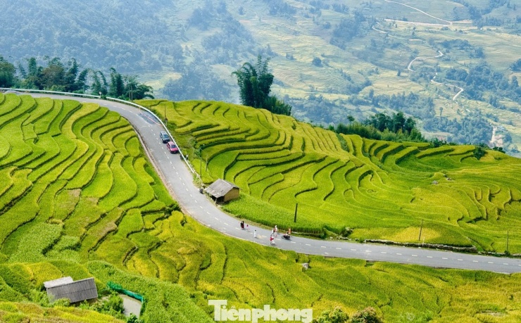Du khách đổ về Y Tý, đắm chìm với ruộng bậc thang đẹp nhất Tây Bắc - 15