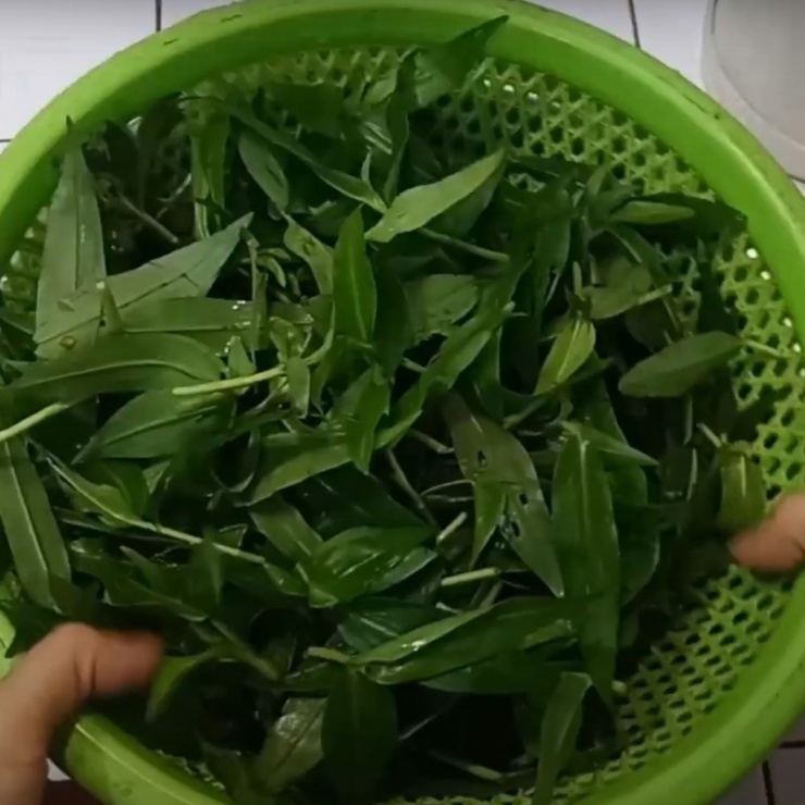 Loại cỏ dại mọc tua tủa sau mưa không ngờ là rau quý, nấu chung với con này rất ngon, không biết ăn quá tiếc - 3