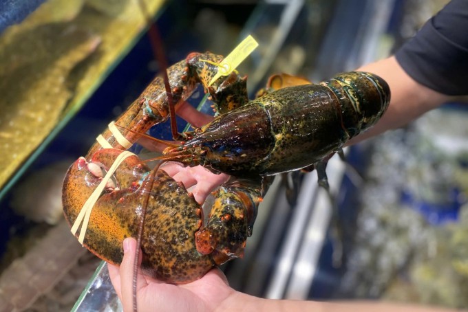 Tôm hùm Mỹ tại cửa hàng hải sản trên đường Lý Tự Trọng, phường Bến Nghé, TP HCM. Ảnh: Trần Văn Trường