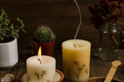 6 vật dụng trong nhà dễ gây rối loạn nội tiết, tăng viêm nhiễm