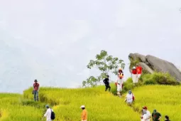 Du lịch - Du khách đổ về Y Tý, đắm chìm với ruộng bậc thang đẹp nhất Tây Bắc