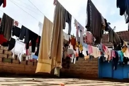 Thị trường - Tiêu dùng - Người Mỹ đấu tranh để được phơi quần áo