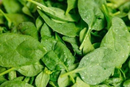 Sức khỏe đời sống - 7 mẹo nấu ăn đơn giản giúp người tiểu đường sống khỏe