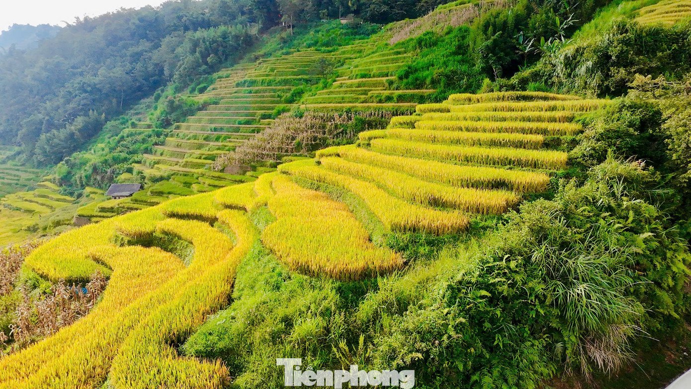 Du khách đổ về Y Tý, đắm chìm với ruộng bậc thang đẹp nhất Tây Bắc - 6