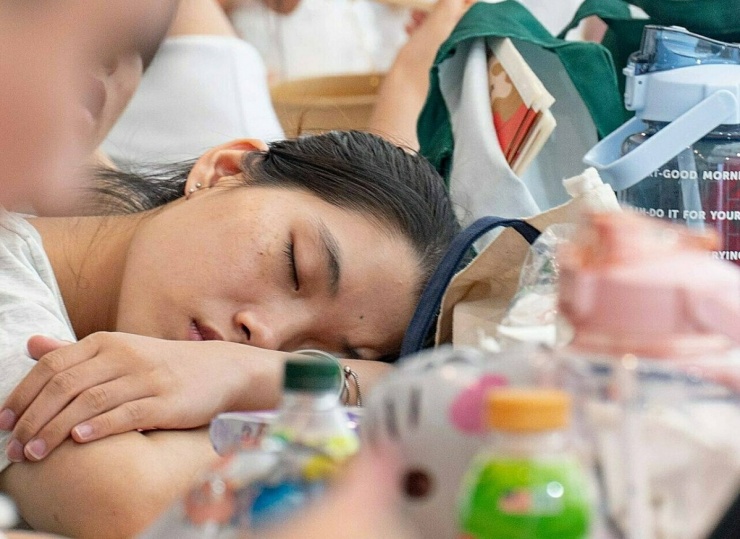 Triển lãm quốc gia vẫn đông nghịt khách sau khi mở thêm 10 ngày - 4