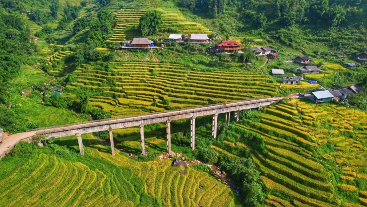 Lúa chín vàng, thơm ngát ở ngôi làng Việt đẹp nhất châu Á - 5