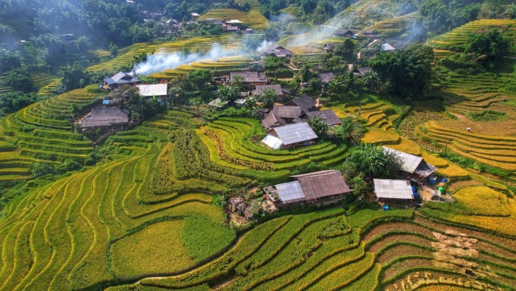 Lúa chín vàng, thơm ngát ở ngôi làng Việt đẹp nhất châu Á - 3