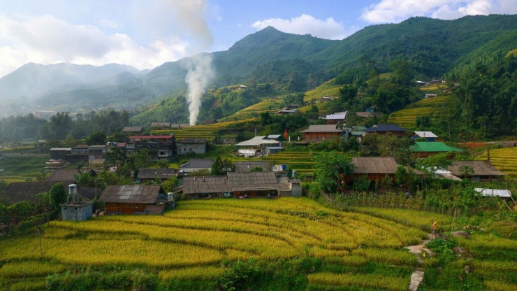 Lúa chín vàng, thơm ngát ở ngôi làng Việt đẹp nhất châu Á - 4