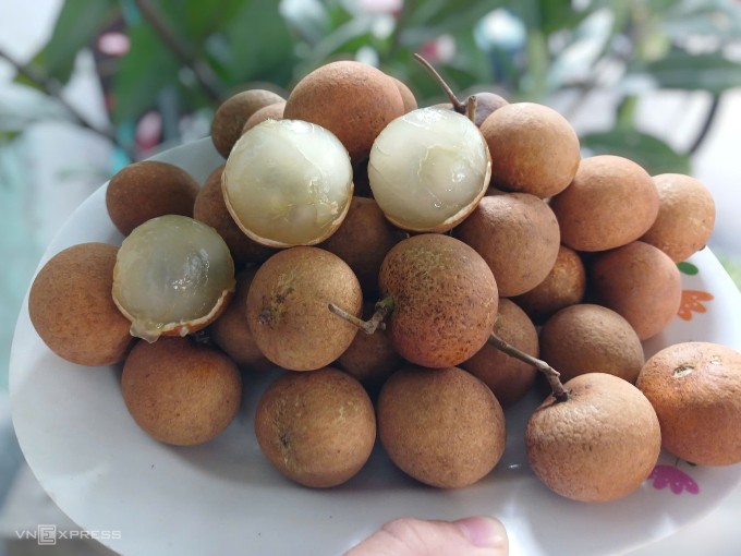Nhãn bắp cải được bán đầy các chợ ở TP HCM. Ảnh: Thi Hà