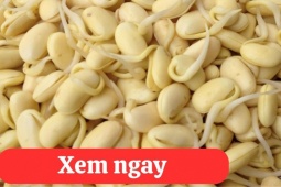 Tin tức sức khỏe - “Tái sinh” khớp gối với 2 món ăn được người xưa ví là “thần dược” phục hồi xương khớp