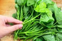 Rau xưa người Việt cho lợn ăn, nay lên bàn tiệc ở nước ngoài, hơn 1 triệu/kg