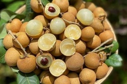 Nhãn bắp cải giảm giá mạnh