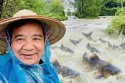 NSƯT Quang Tèo trải nghiệm suối cá 'lạ', Trọng Tấn thu hoạch hoa quả ở villa