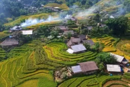 Lúa chín vàng, thơm ngát ở ngôi làng Việt đẹp nhất châu Á