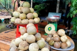 Những quả đặc sản phổ biến ở miền Tây, ra Bắc thành 'hàng hiếm'