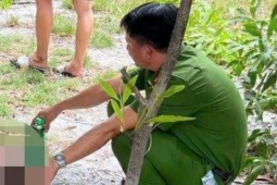 An ninh - Xã hội - Video công an vây bắt nghi can sát hại Thiếu tá Nguyễn Đông Cánh