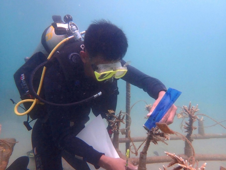 Cận cảnh lặn sâu dưới đáy biển phục hồi san hô - 3