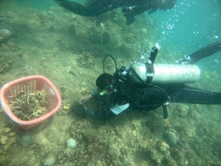 Cận cảnh lặn sâu dưới đáy biển phục hồi san hô - 6