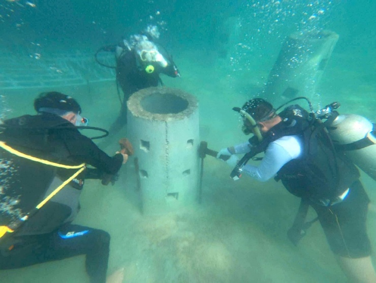 Cận cảnh lặn sâu dưới đáy biển phục hồi san hô - 7