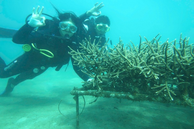 Nhưng với niềm đam mê, những người trẻ gắn bó cả chục năm trời, phục hồi, trồng mới hàng chục ha rạn san hô ở Cù Lao Chàm.