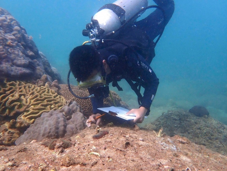 Quá trình trồng và chăm sóc đều được theo dõi, ghi chép cẩn thận làm cơ sở để đánh giá hiệu quả bảo tồn dài hạn.