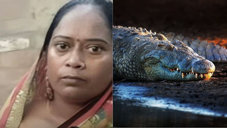 Người phụ nữ may mắn sống sót sau khi nhảy xuống sông và chạm trán cá sấu. Ảnh: X @darshak_24