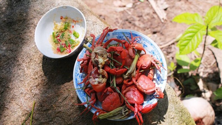 Núi Cấm (ở An Giang) từ lâu được biết đến là ngọn núi cao nhất miền Tây Nam Bộ. Nơi đây không chỉ hấp dẫn bởi cảnh sác hùng vĩ mà còn nhiều món đặc sản hấp dẫn, trong đó có con cua núi Cấm. 
