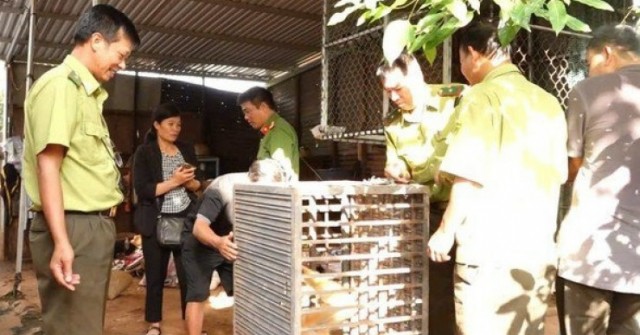 Bắt được động vật "lạ", lên mạng tra cứu thì tá...
