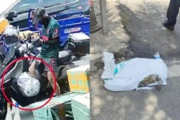 Thị trường - Tiêu dùng - Giao hàng “cá sấu nguyên con”, shipper suýt ngất khi thấy “hàng còn sống”