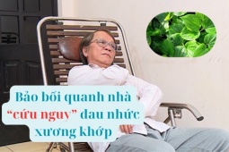 Tin tức sức khỏe - “Bảo bối’ cứu nguy cho cột sống hóa ra có ngay trên mâm cơm hàng ngày của người Việt
