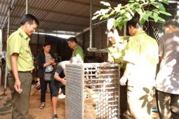 Bắt được động vật "lạ", lên mạng tra cứu thì tá hỏa giao nộp cho công an