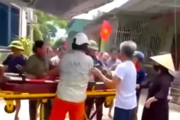 Tin tức trong ngày - Người đàn ông bị đàn ong đốt tử vong khi ra bờ sông cắt cỏ