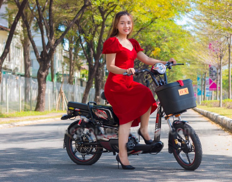 Giá xe đạp điện Vnbike mới nhất trong tháng 9/2025 - 2