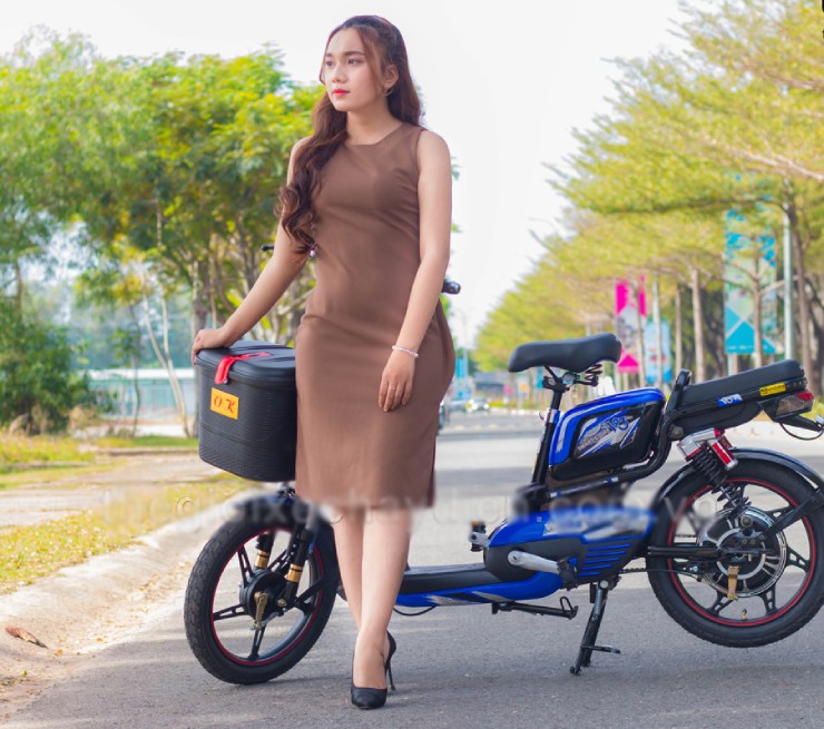 Giá xe đạp điện Vnbike mới nhất trong tháng 9/2025 - 1