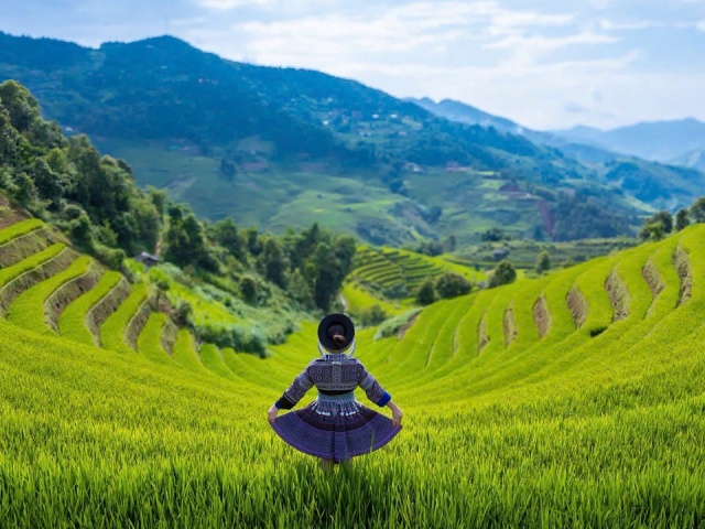 Du lịch - Ngắm mùa lúa Mù Cang Chải bắt đầu chín sớm