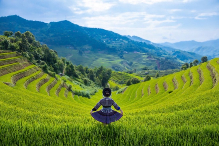 Ngắm mùa lúa Mù Cang Chải bắt đầu chín sớm - 8