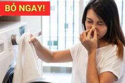 Tin tức sức khỏe - Cảnh báo 2 thói quen giặt giũ gây ho, khó thở - Tại sao quần áo “sạch” lại khiến phổi “tổn hại”?