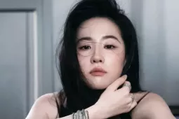 Một năm buồn của Lưu Diệc Phi