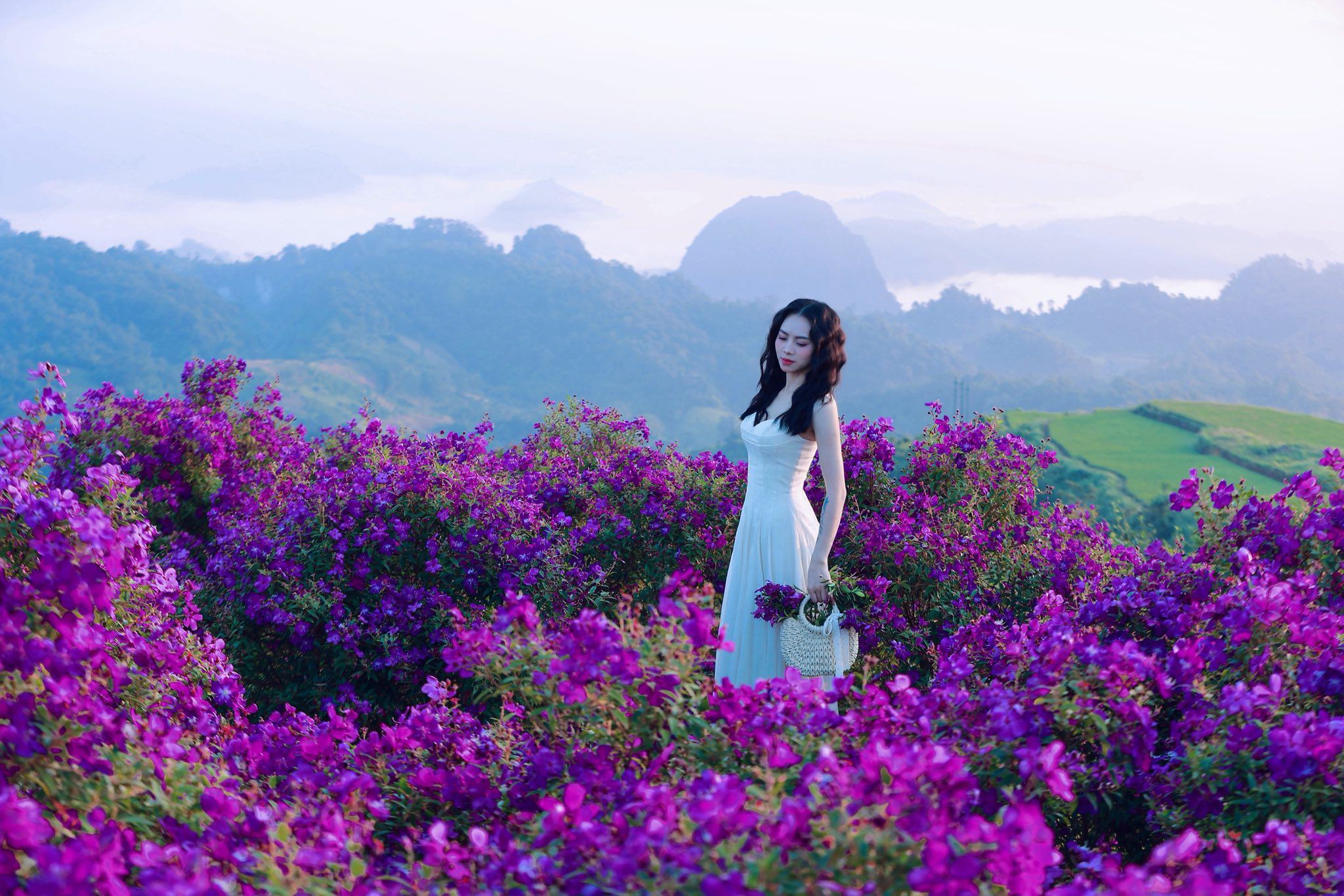 Giới trẻ 