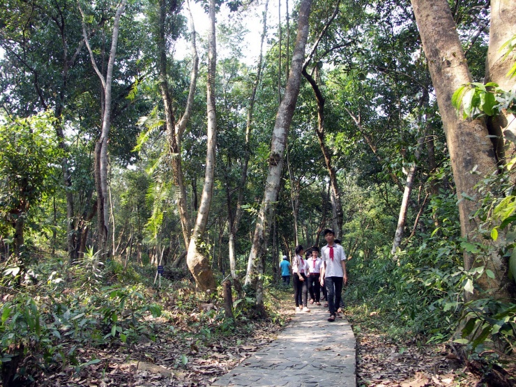 Đoàn học sinh đến Vườn thực vật Phong Nha - Kẻ Bàng để học tập, tìm hiểu thế giới sinh học đa dạng.