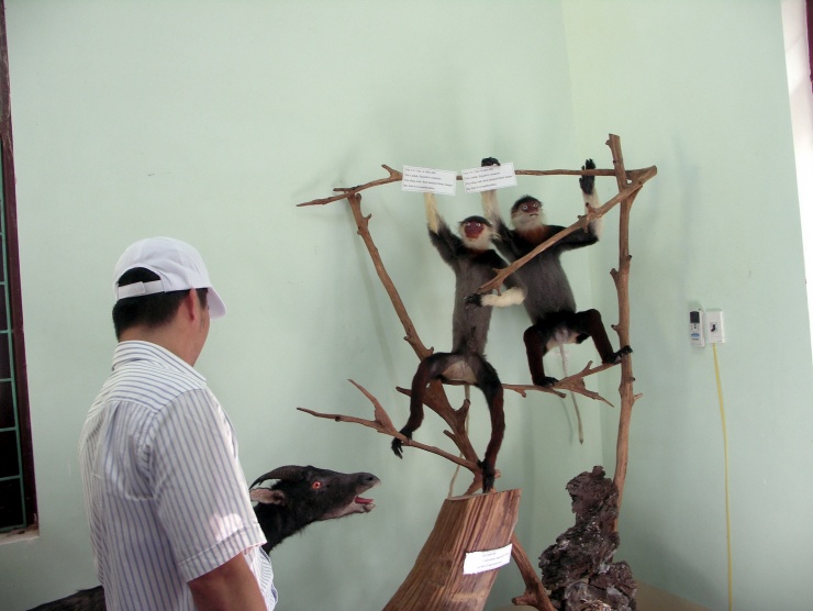 Một số mô hình các loài thú tại Vườn thực vật.