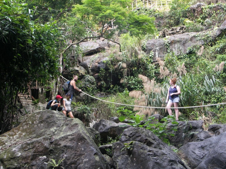 Du khách nước ngoài chinh phục thiên nhiên hoang dã tại Vườn thực vật Phong Nha - Kẻ Bàng.